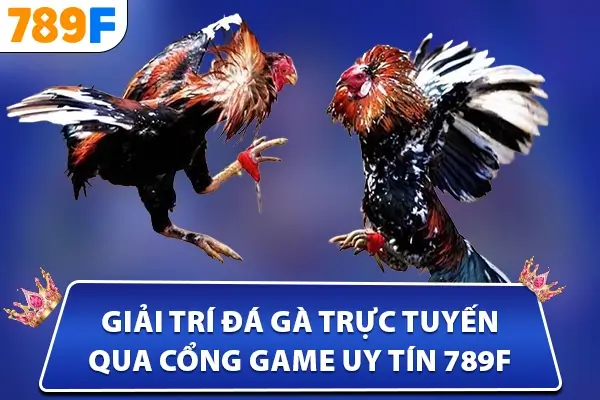 giải trí đá gà trực tuyến qua cổng game uy tín 789F giải trí đá gà trực tuyến qua cổng game uy tín 789F