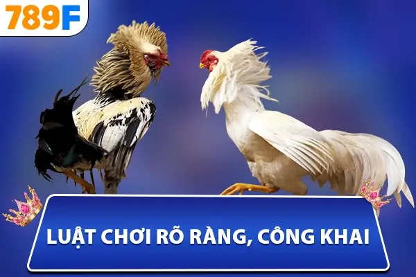 Luật chơi rõ ràng, công khai Luật chơi rõ ràng, công khai